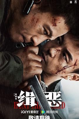 《年轻的姐夫》